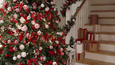 🎄 Christmas🎄
