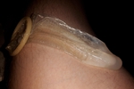 Cum in condom 2 pics