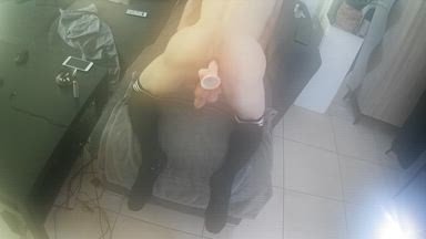 ass / dildo / pooh