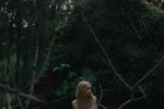 Forest Fairy