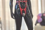 Red Harness