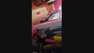 Caught masturbating