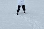 Freezing