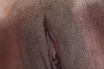 choco — pussy