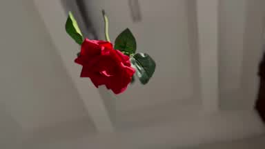 Happy Valentine's day