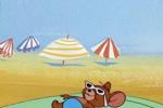 VACATION