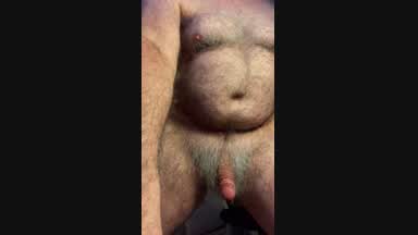 Lion Cock