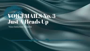 VOICEMAILS No. 3- Just A Heads Up