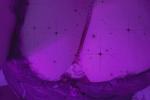 Purple Lacie