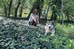 Princess Mononoke cosplay