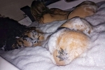 Nicolle and Carrie