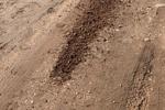 Dirt road burnout