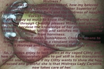 A Homework from my Mistress Miss Caroline Fisher !