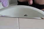 New
