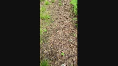 Hike....