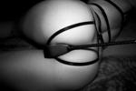 hot spicy photo (recommended))