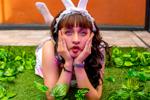 ๐neko๐ โ your cute bunny ๐ธ