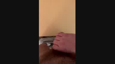 NUT ON MY DESK
