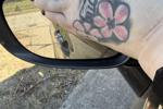 princess โ Feet pics