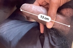My tool size