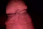Cock 1