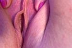 Pussy