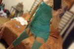 AnnaraePlay