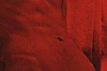 denver00 live Chaturbate webcam gallery thumbnail