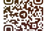 MY TELEGRAM CHANNEL