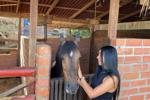 bryhanna 💕 — I love horses.😶‍🌫️