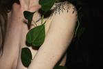 Small Peak of Fan Club Photos