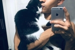 my cat