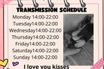 my schedule