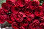 For flowers <3