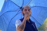 el motita 420 live Chaturbate webcam gallery thumbnail