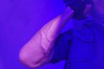 Veins
