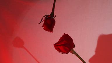 Happy Valentine's Day💋💓💖💗