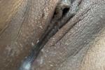 my wet pussy
