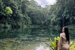 NATURE LOVER