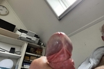 Cock