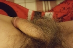 My Hairy Cock