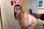 Cute little bunny