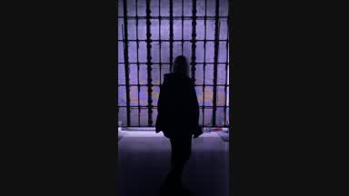my favorit video