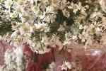 Flowers for me
