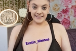 Exotic_Melons