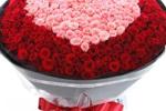 Dream 1001 roses
