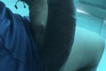 YOU ALL WANT TO SUCK MY DICK