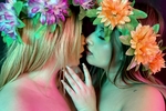 colorful flowers