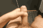 Gifs