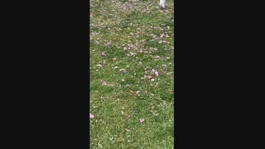 Spring came